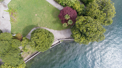 Aerial vertical drone view of a park by the lake