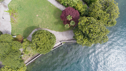 Fototapeta na wymiar Aerial vertical drone view of a park by the lake