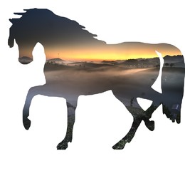 Horse, double exposure on white background