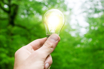 hand holding light bulb in garden green nature background