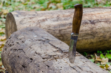 hunter's knife in tree stump