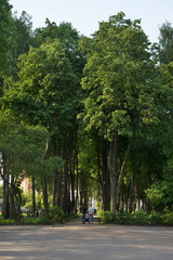 Park Bykhanov garden in Lipetsk. Russia