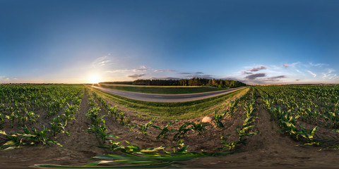 full seamless spherical hdri panorama 360 degrees angle view near asphalt road among cornfield in summer evening sunset in equirectangular projection, ready VR AR virtual reality content