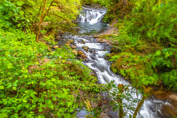 Beautiful Sunset Hike Up Sweet Creek Falls in Oregon