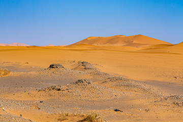 Fototapeta na wymiar Sahara desert in Mergouza region east Morocco