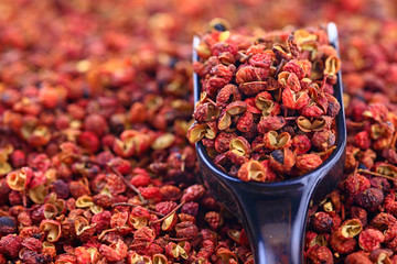 Chinese prickly ash on a white background