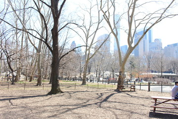 Central Park