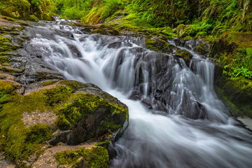 Beautiful Sunset Hike Up Sweet Creek Falls in Oregon