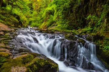 Beautiful Sunset Hike Up Sweet Creek Falls in Oregon