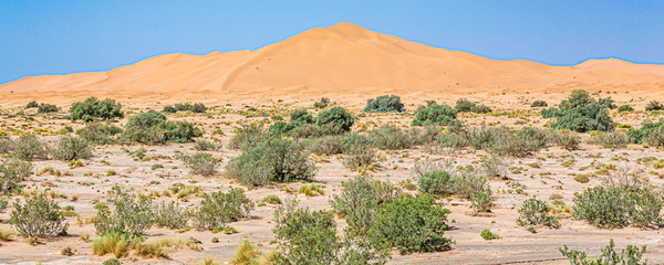 Sahara desert in the Merzouga region, Morocco