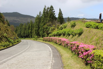 Fototapeta na wymiar São Miguel Island, Azores, Portugal