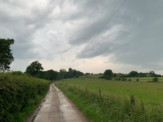 road in the field