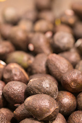 Hass avacado background vertical photo