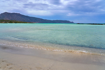 Tropical sandy beach. Copy space.  