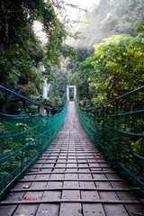 wooden hanging bridge in green tropical forest, clean sky