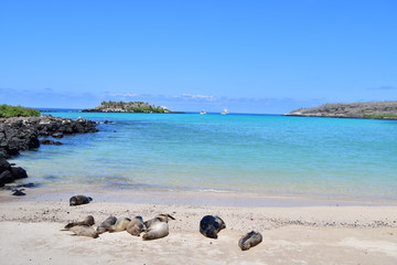 PLAYA, GALÁPAGOS