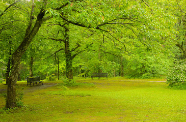 兵庫県・北但、自然公園の雨模様風景