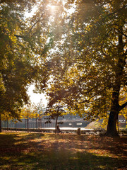 Fototapeta na wymiar Autumn color of Platzspitz Park in Zurich, Switzerland