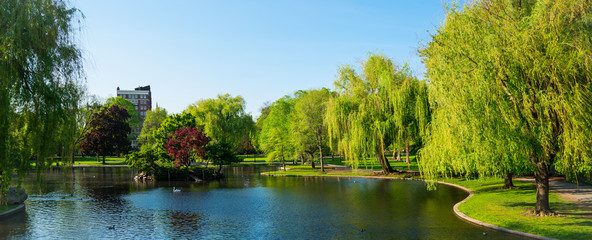 Boston