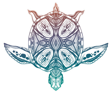 Maori Turtle Photos Royalty Free Images Graphics Vectors Videos Adobe Stock