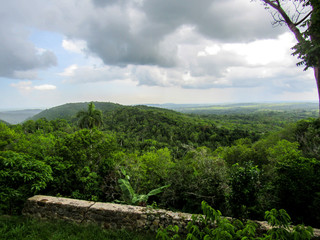 A View