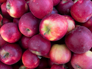 Perfect organic and delicious organic apples fresh picked at a farm market