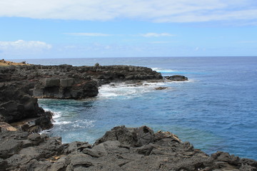 waves crashing on rocks