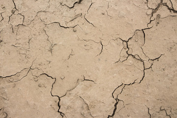Yellow silt and gravel particles form a crack texture due to drought
