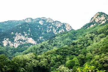 Obraz premium Summer landscape of Taishan, China