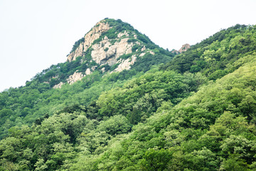 Summer landscape of Taishan, China