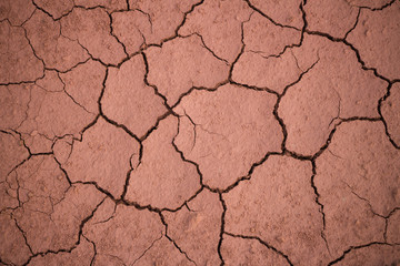 The red soil on the earth formed many cracks of the turtle due to drought.
