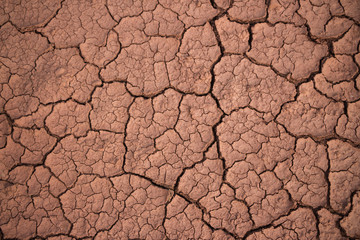 The red soil on the earth formed many cracks of the turtle due to drought.