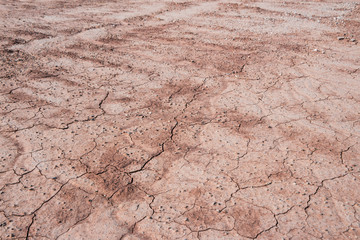 Red-brown dry-fissured mud land with small rubble  