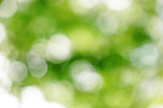 150 125 最適な 玉ボケ 画像 ストック写真 ベクター Adobe Stock 150 125 最適な 玉ボケ 画像 ストック写真 ベクター Adobe Stock