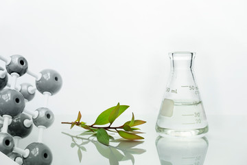 green natural leave plant with clear science glass flask in biotechnology laboratory with molecular...