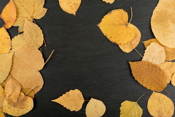 Flat Dried Leaves or Forest Floor in Camouflage Colors