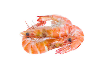 Shrimp isolated on the white background