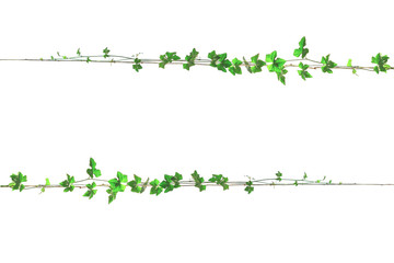  vine on wire background white © Krailas