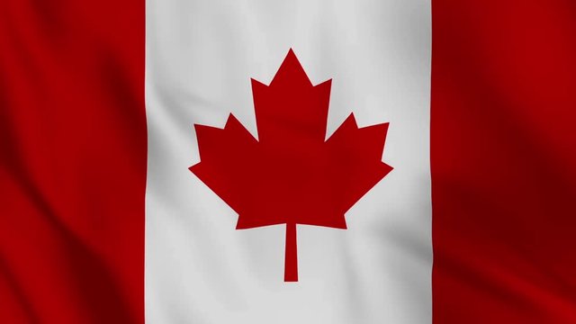 realistic canadian flag waving video footage looping 
