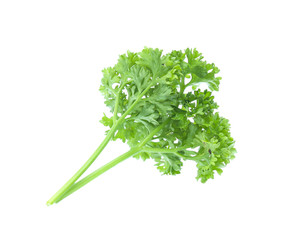 Parsley isolated on white background