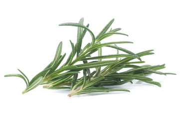Fototapeta premium rosemary isolated on white background