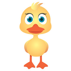 Illustration front view of cute duck with beautiful eyes