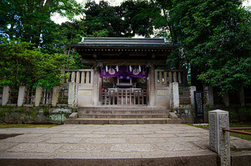 Fototapeta premium 日本の梅雨の神社の風景