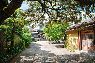 Fototapeta premium 日本の梅雨の神社の風景