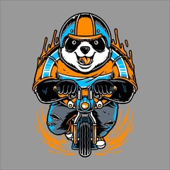 panda riding bicycle hand drawing vector