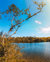O lago em Ponta Grossa