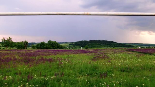 Abandoned stadion overgrown with butiful purple flowers. Small vilage where all youth is gone.