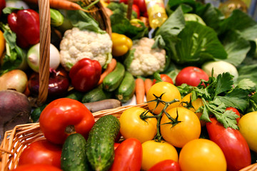 Harvest of autumn vegetables