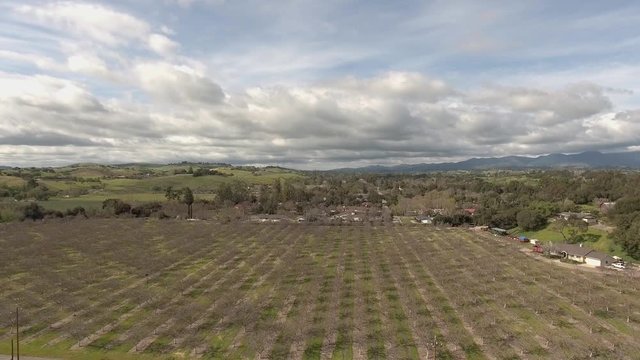 Aerial Shot of winery area in Santa Ynez Valley