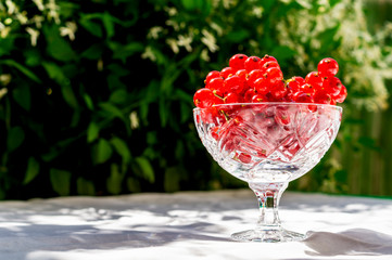 Fresh red currant in a crystal glass stand on a table with a white cloth on the background of blurred flowers. Fresh harvest of this year. Concept of healthy food, vitamin C. Copy space for your text